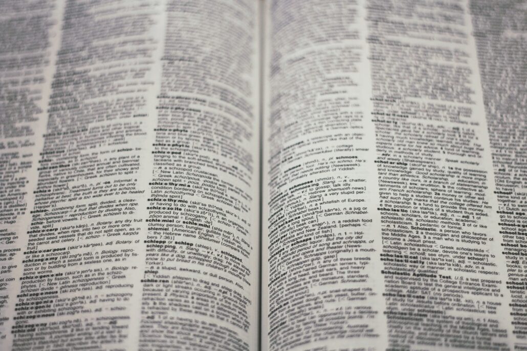 Un dizionario del linguaggio inglese. Foto di Joshua Hoehne su Unsplash